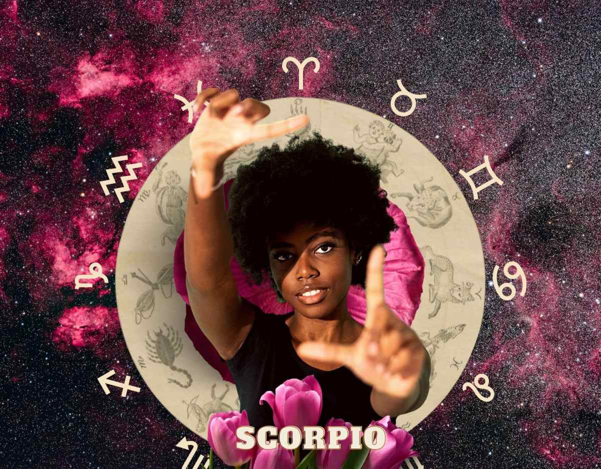 Skorpion Collage
