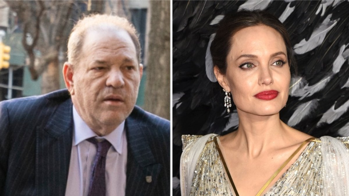 Auch Angelina Jolie soll als junge Frau von Harvey Weinstein attackiert worden sein.. © lev radin/Shutterstock.com / Vivienne Vincent/Landmark Media/ImageCollect.com