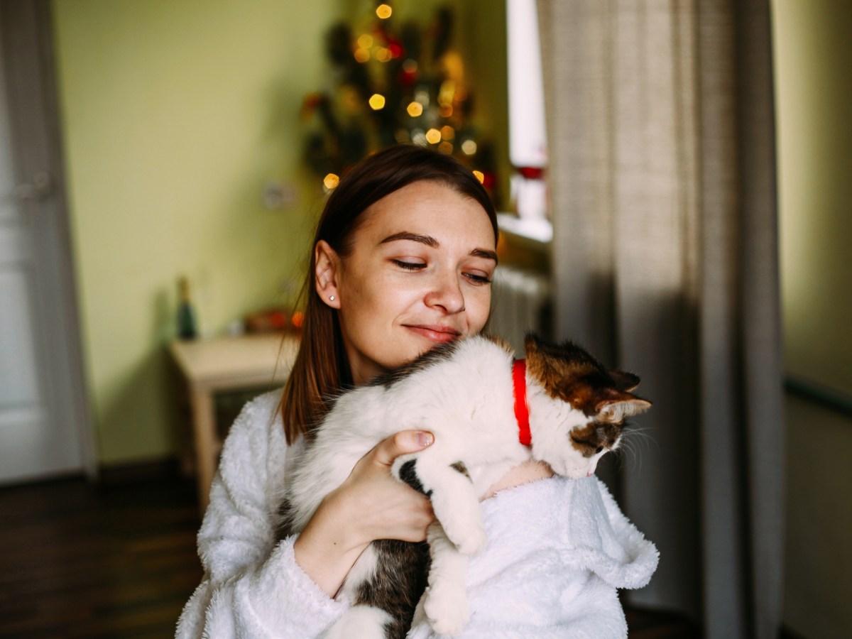 Frau Katze Weihnachten