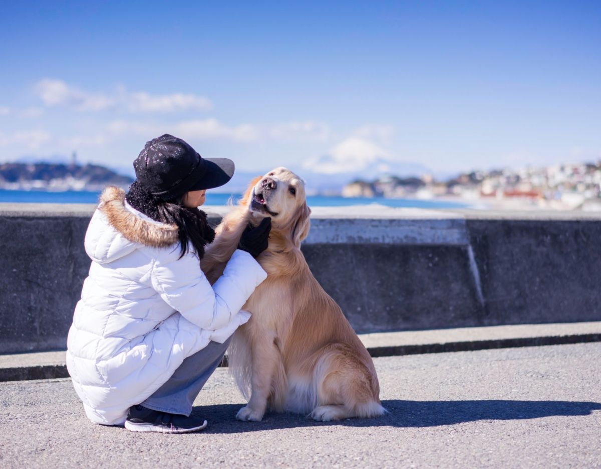 Hunde Gadgets