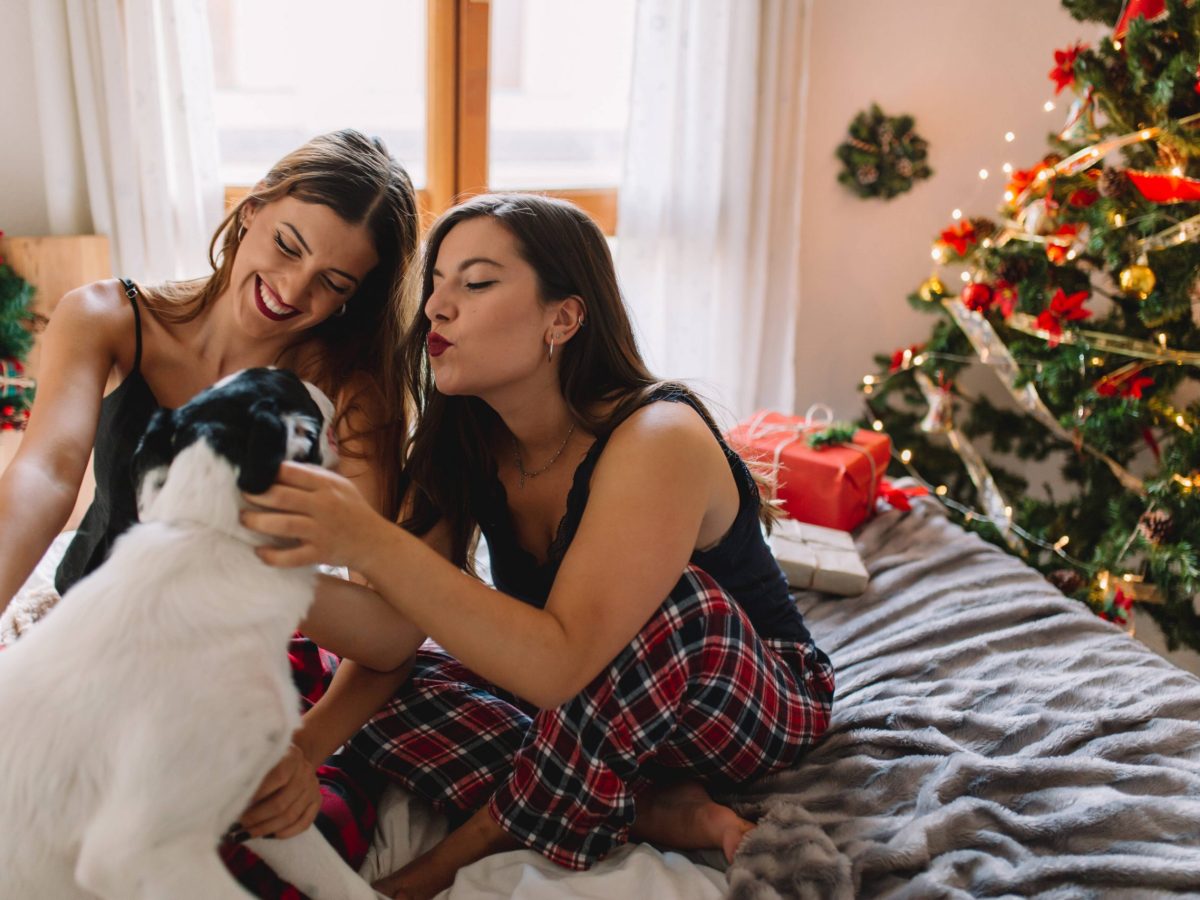 Frauen mit Hund an Weihnachten