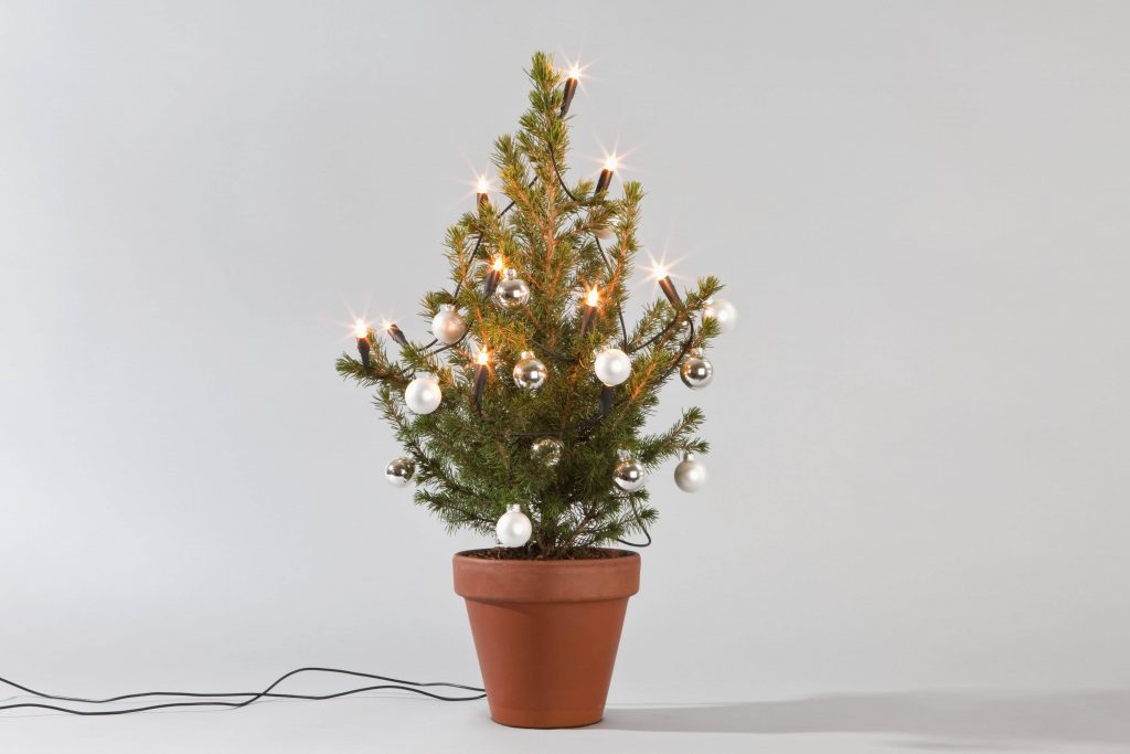 Topf Weihnachtsbaum