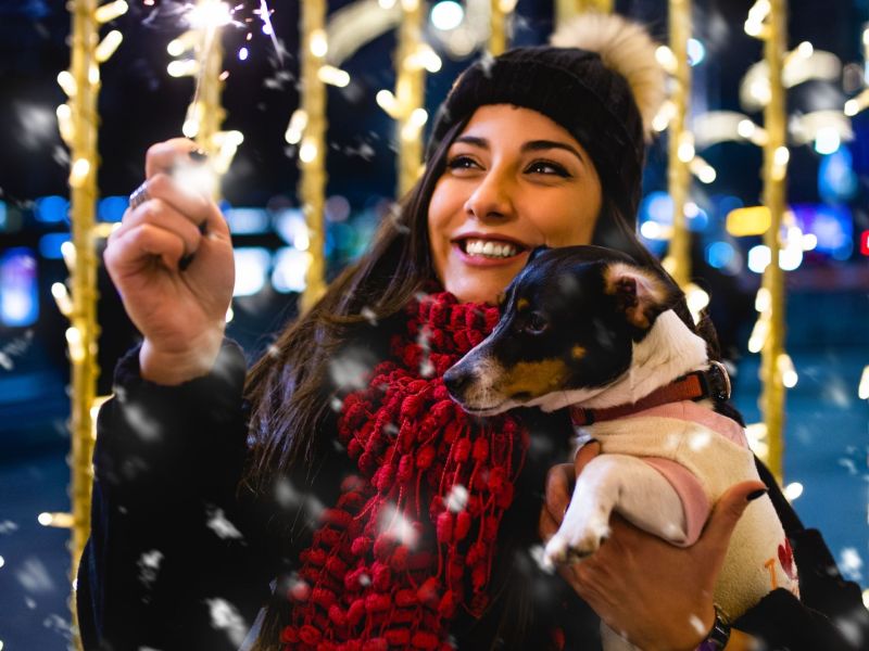 Silvester mit Hund