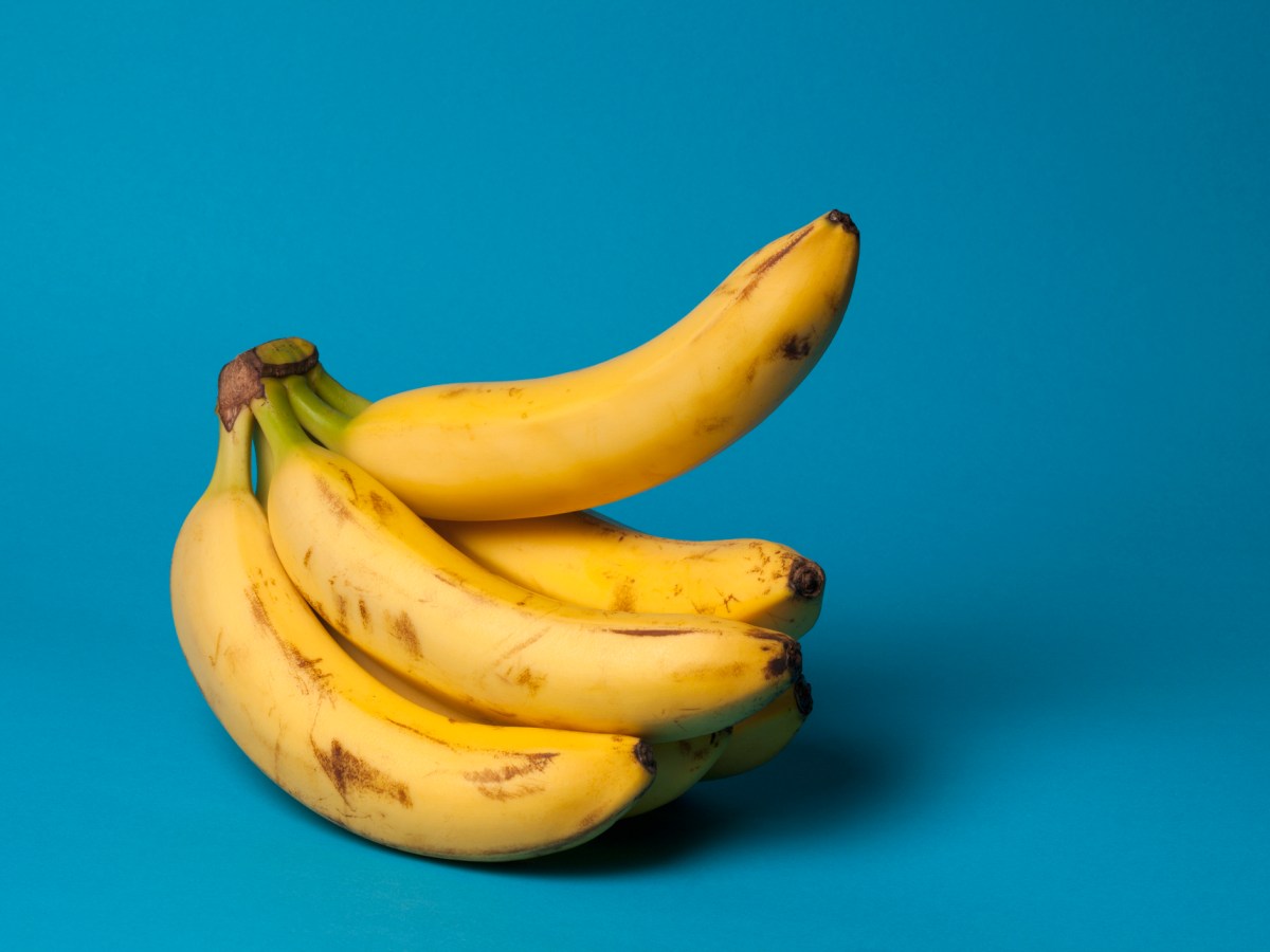 Bananen vor einem blauen Hintergrund