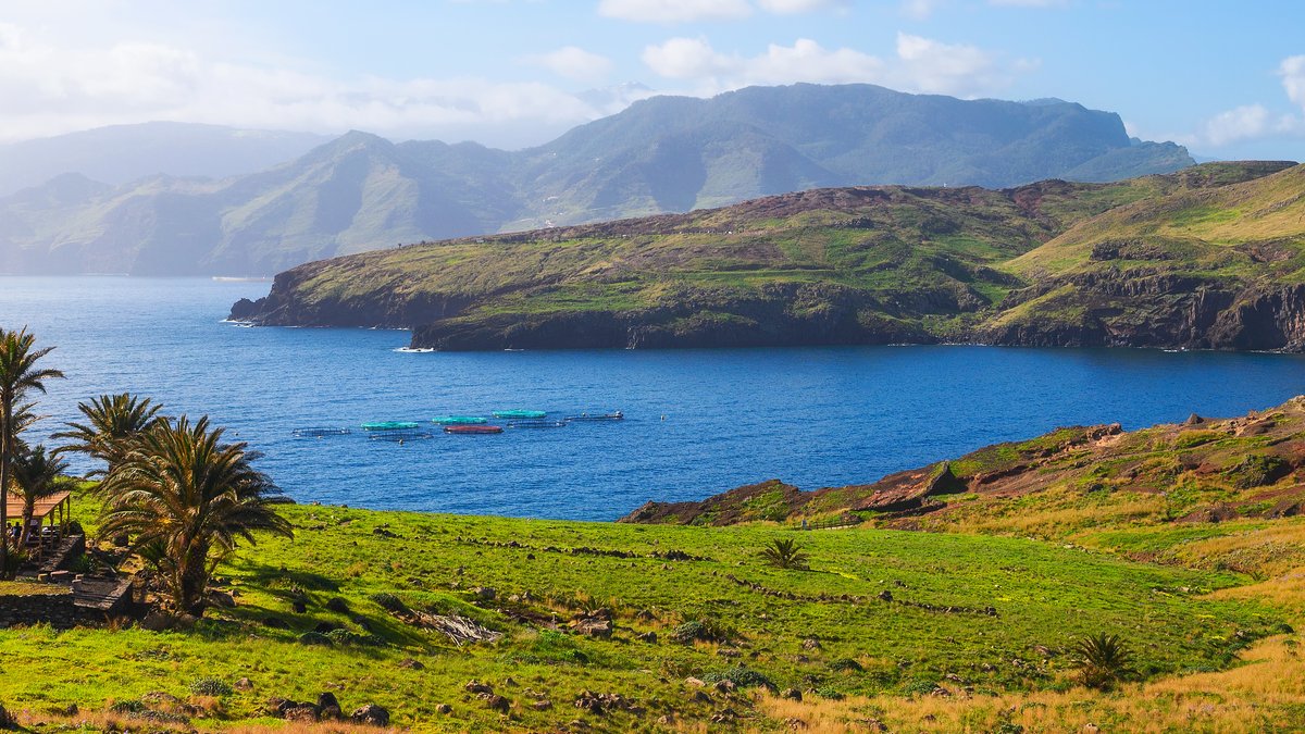 Die portugiesische Insel Madeira hat einiges zu bieten - auch im Winter.. © Nick Fox/Shutterstock. com