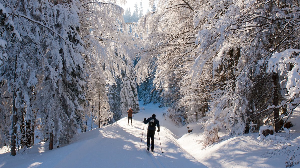 Langlauf gehört zu den anstrengendsten Wintersportarten.. © Roman Slejmar/Shutterstock
