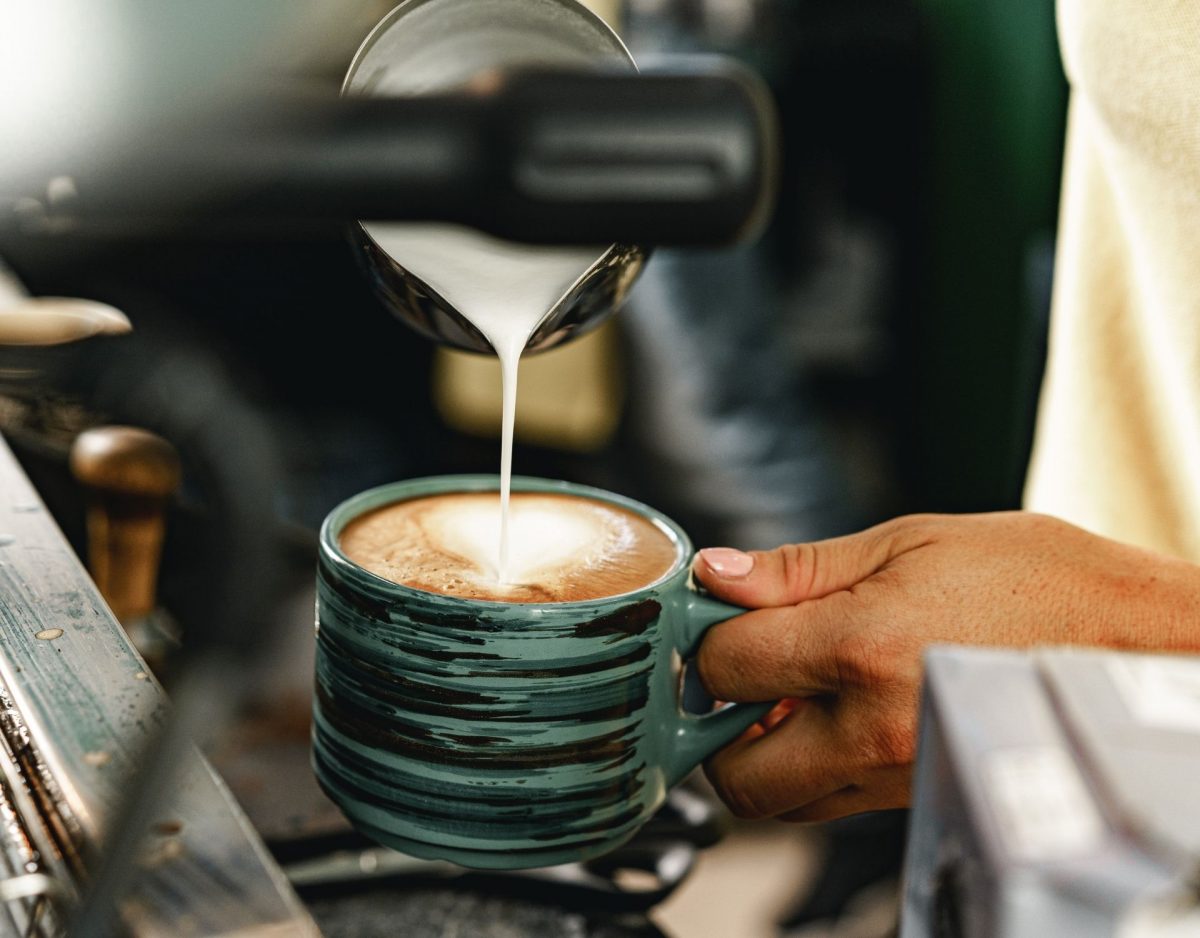 Welche Punkte es vorm Kaufen die Magenfreundliche kaffeebohne zu beurteilen gilt