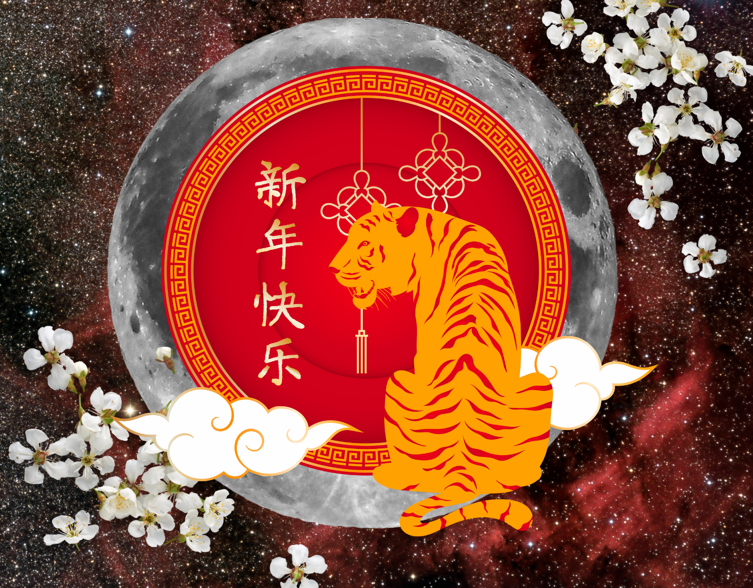 2022 Jahr des Tigers Chinesisches Neujahr Sternzeichen Plüschtier Tigvi 