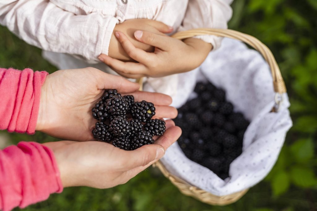 Frau Obst regional saisonal Geld sparen im Alltag