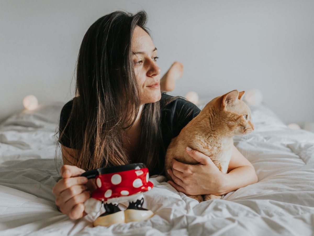 Katze schlafen nachtaktiv
