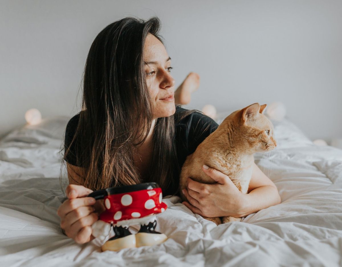 Katze schlafen nachtaktiv