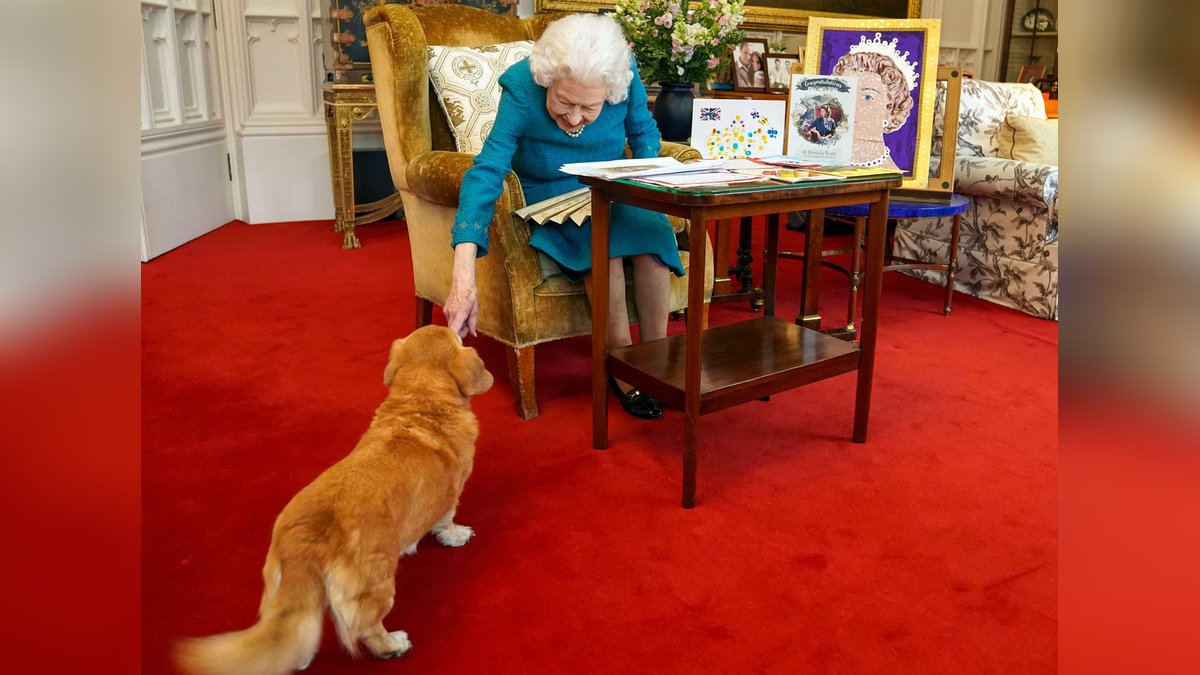 Ob Queen Elizabeth II. ihren Hund Candy auch mit dem neuen Parfüm einsprüht?. © imago/i Images