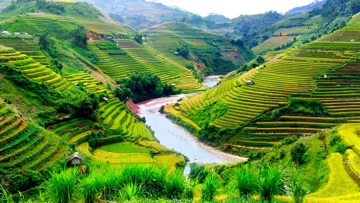 Vietnam ist eine Perle Asiens.. © John Bill/Shutterstock.com