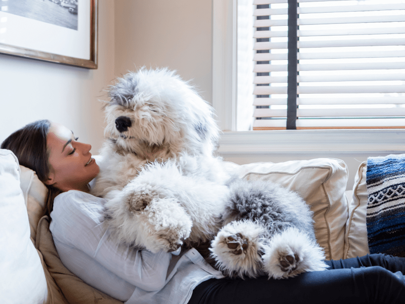 Frau liegt mit wuscheligen Hund auf der Couch.