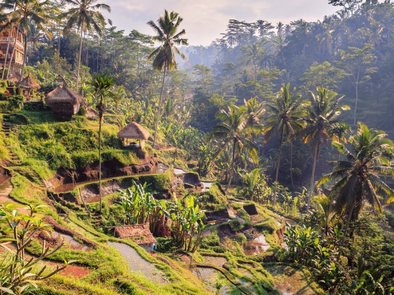 Bali lockt mit einer einzigartigen Natur.. © Christophe Faugere/Shutterstock.com