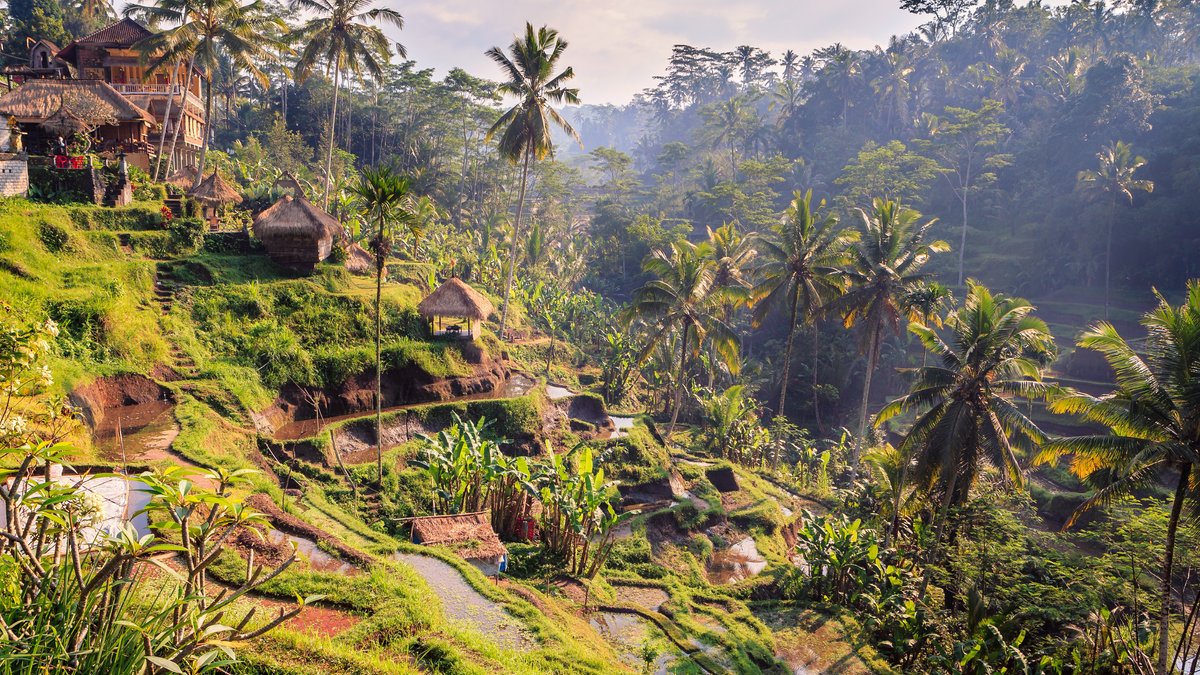 Bali lockt mit einer einzigartigen Natur.. © Christophe Faugere/Shutterstock.com