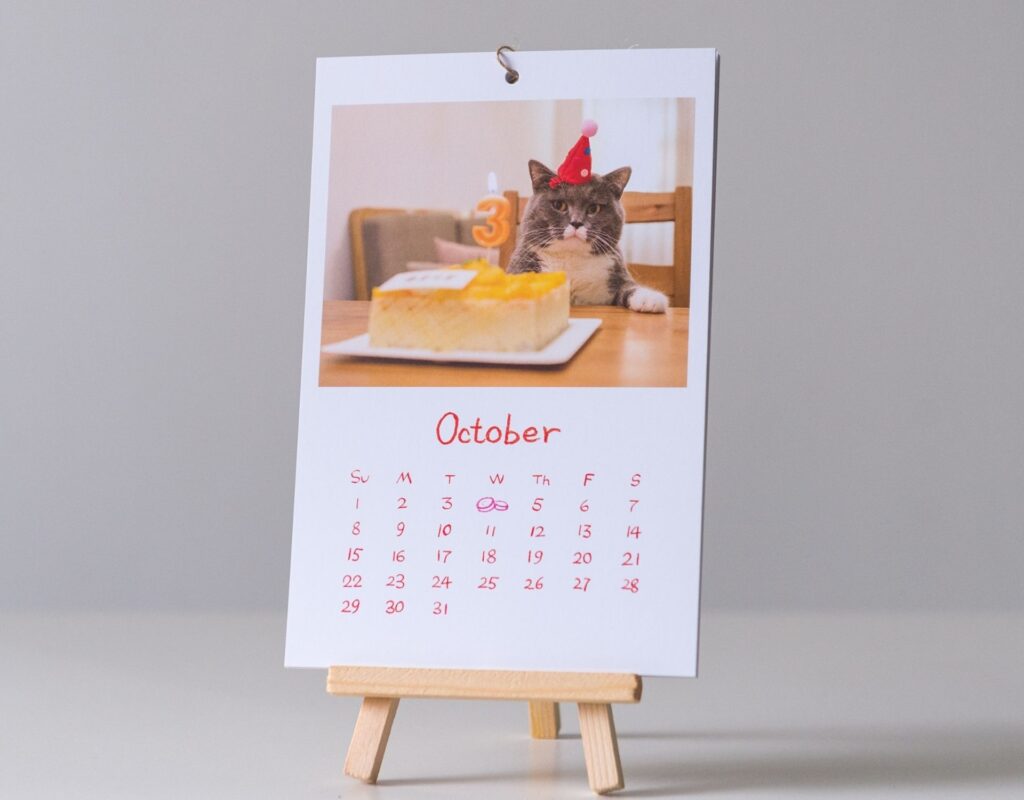 diy kalender mit katzenfoto