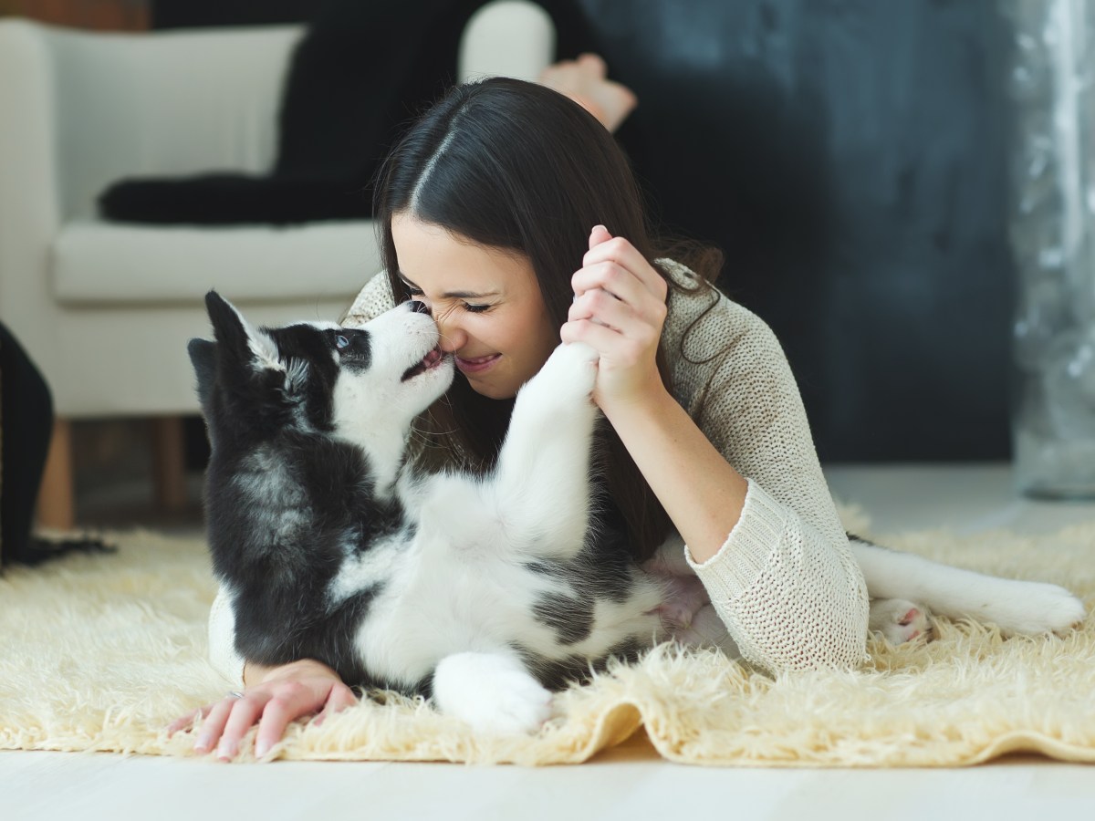 Junge Frau liegt auf dem Boden mit Husky.