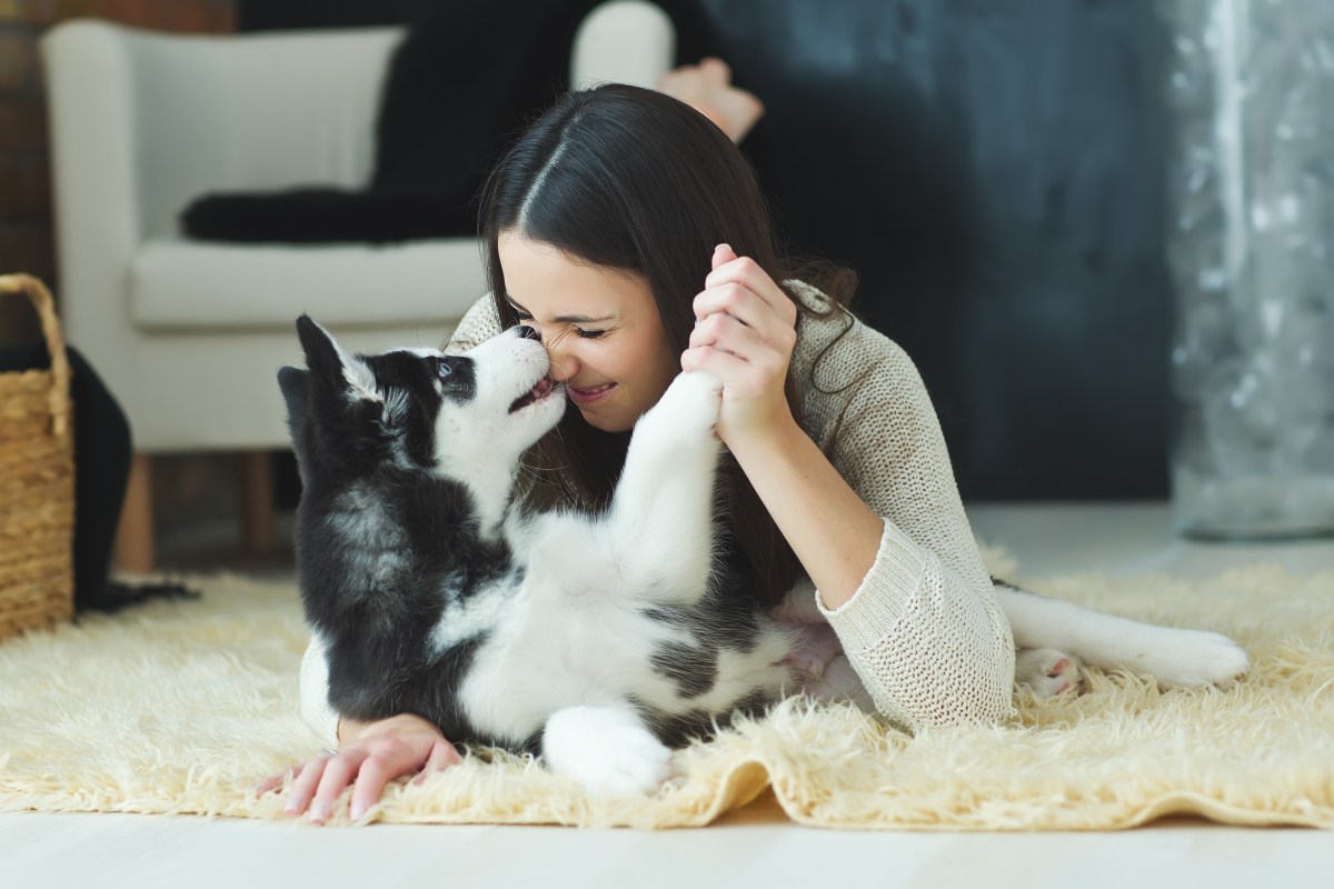 Junge Frau liegt auf dem Boden mit Husky.
