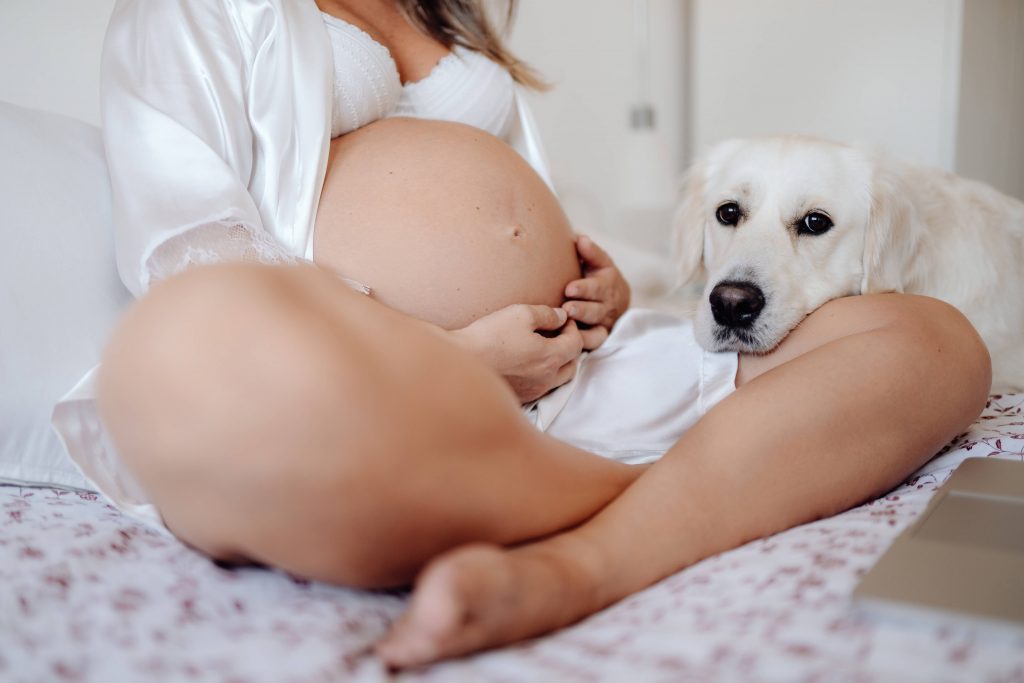Schwangere Frau mit Hund