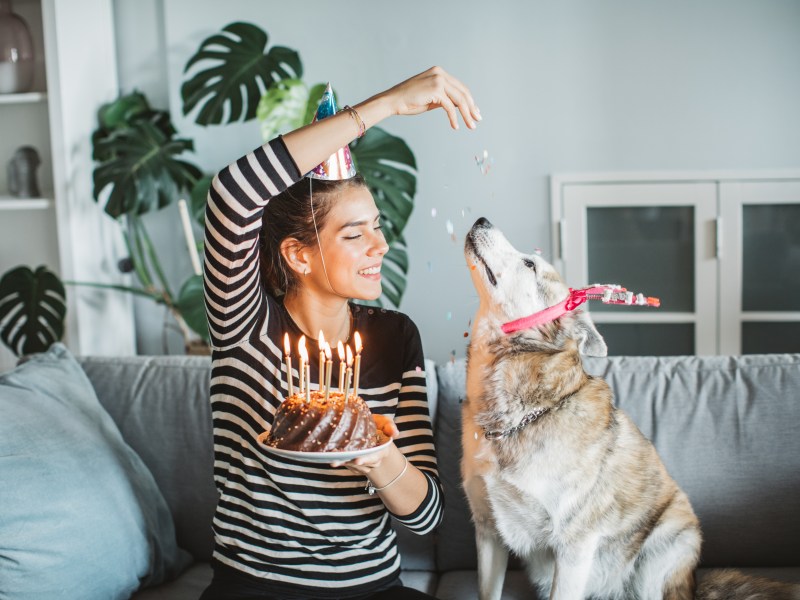 Frau mit Hund zum Geburtstag.