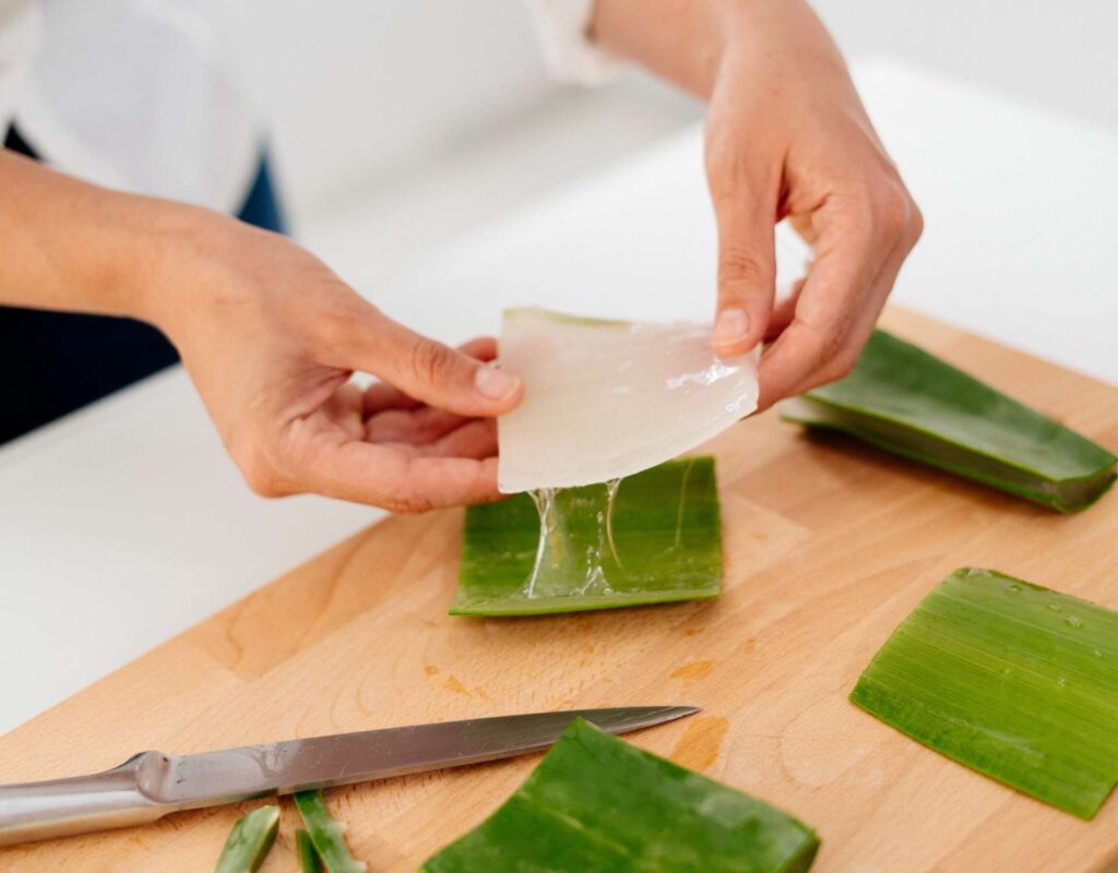 Aloe Vera Zubereitung