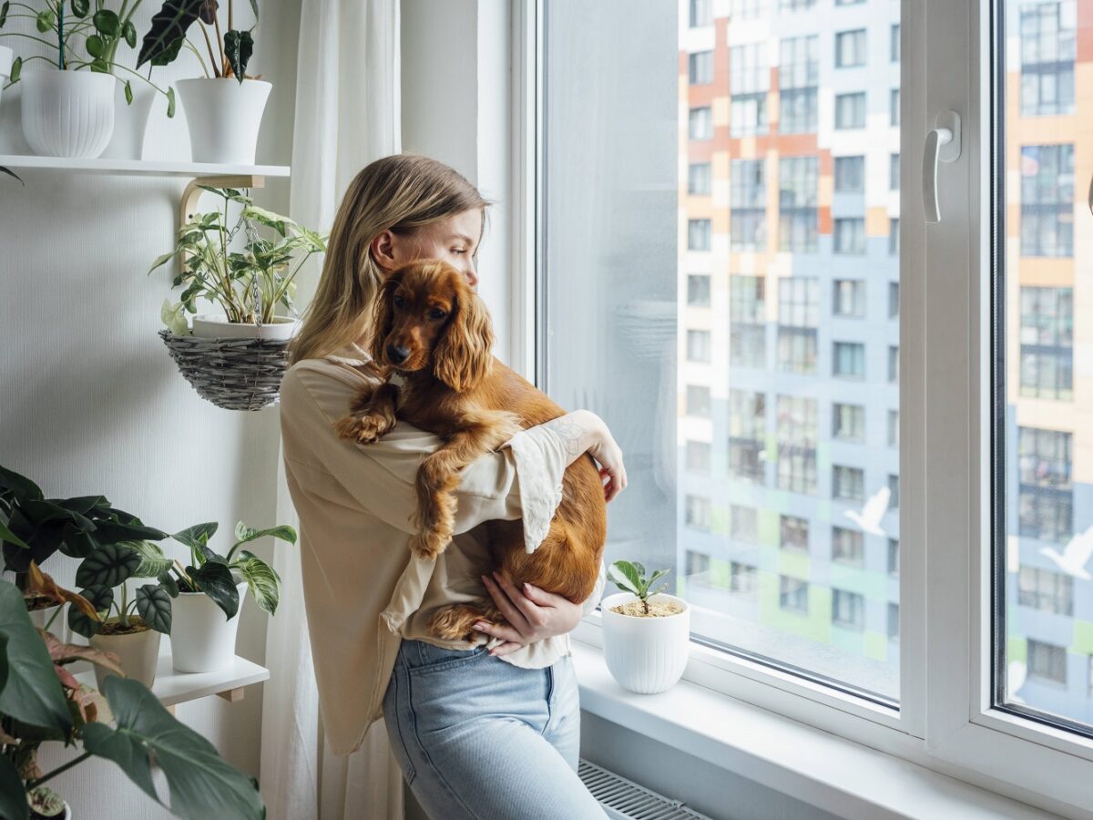 Hund mit Frau am Fenster