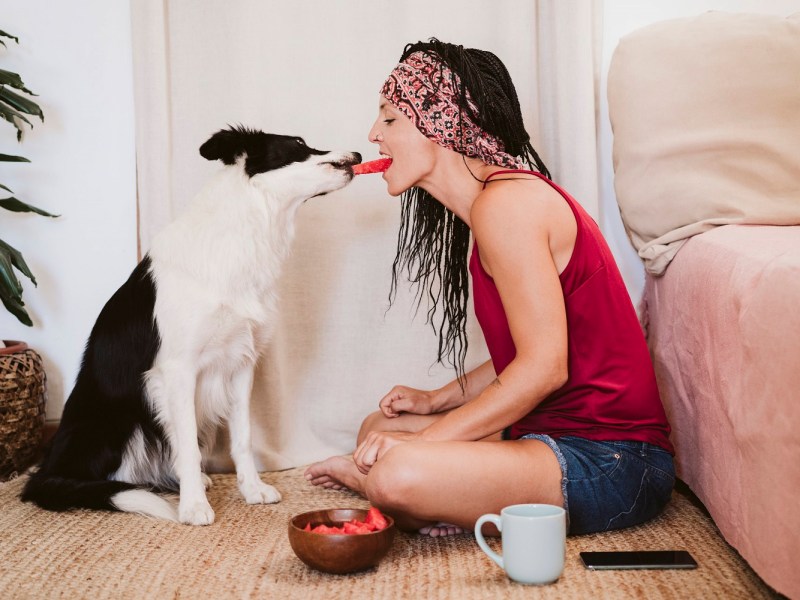 Hund isst Wassermelone von Frauchen