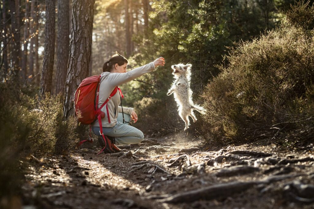 Hund mit Frau im Wald