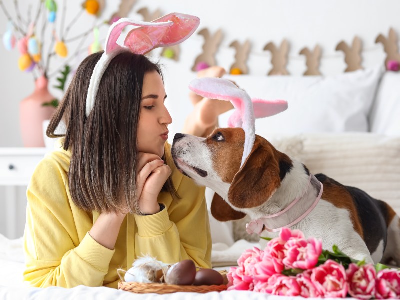 Ostern mit Hund