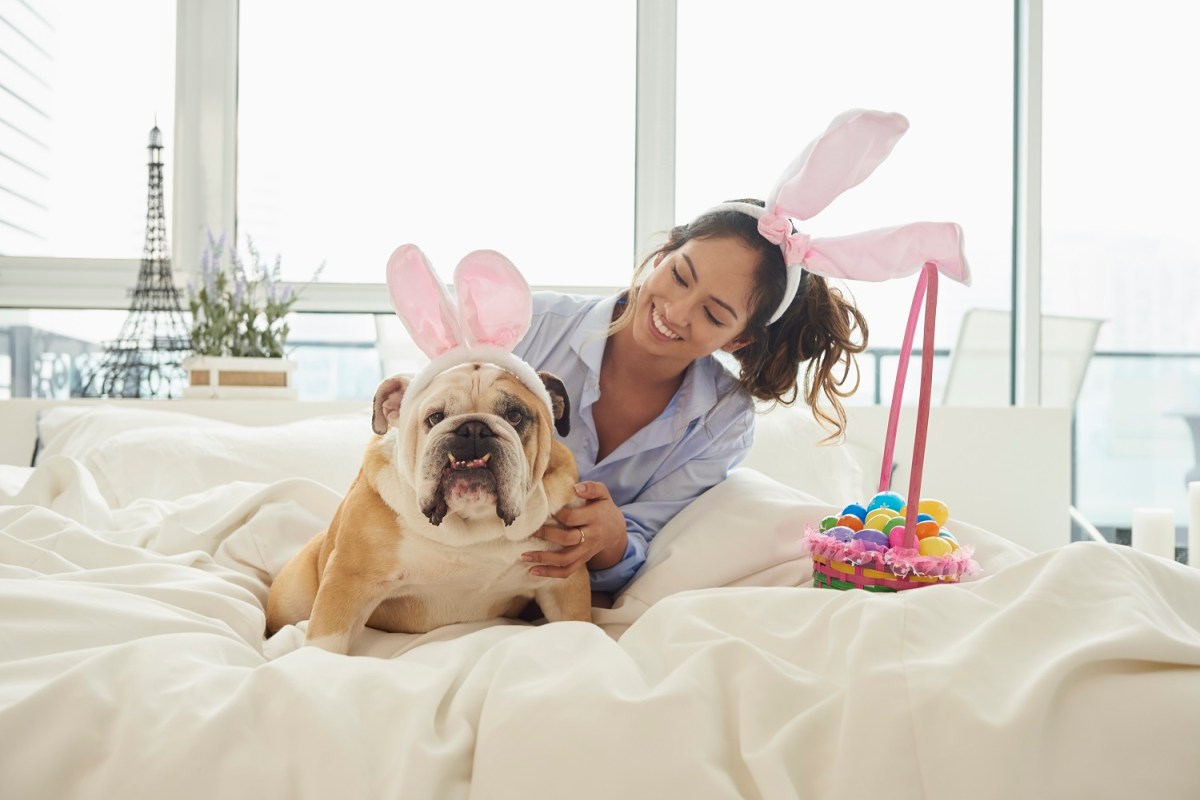 Ostern mit Hund