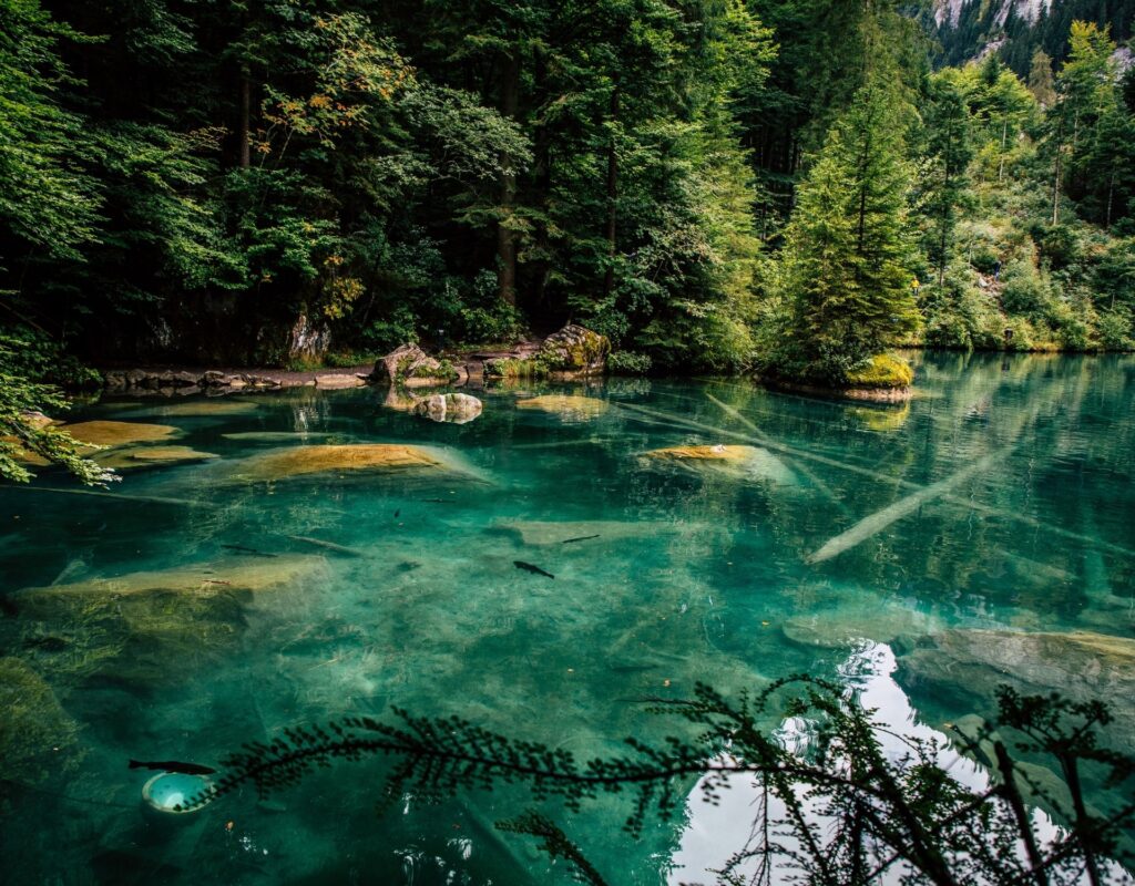 Blausee Switzerland