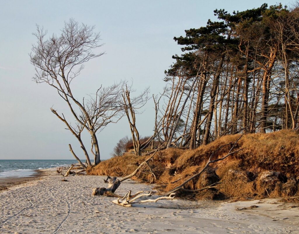 Weststrand Darß