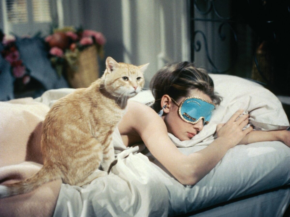 Audrey Hepburn und eine Katze