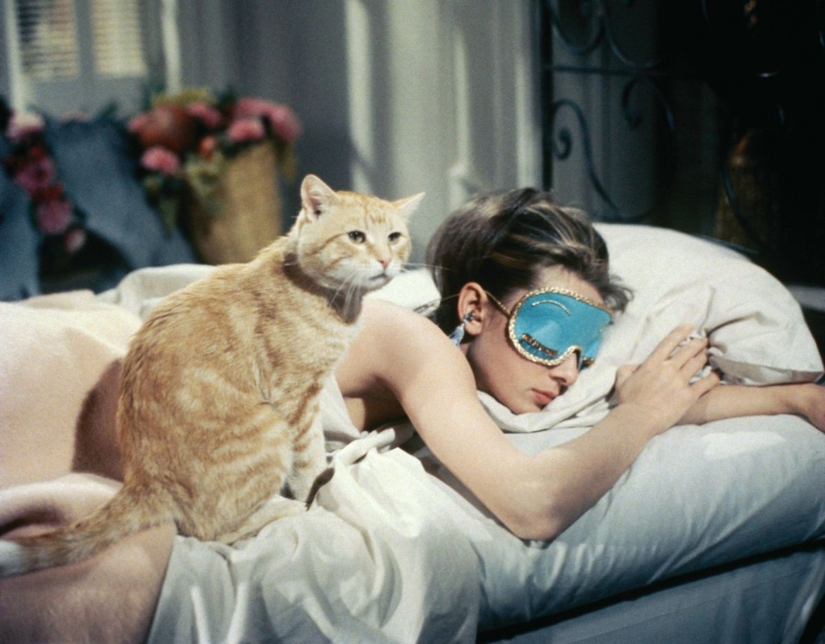 Audrey Hepburn und eine Katze