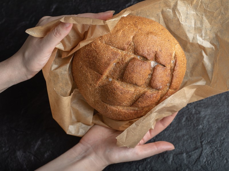 Brot Laib Hände