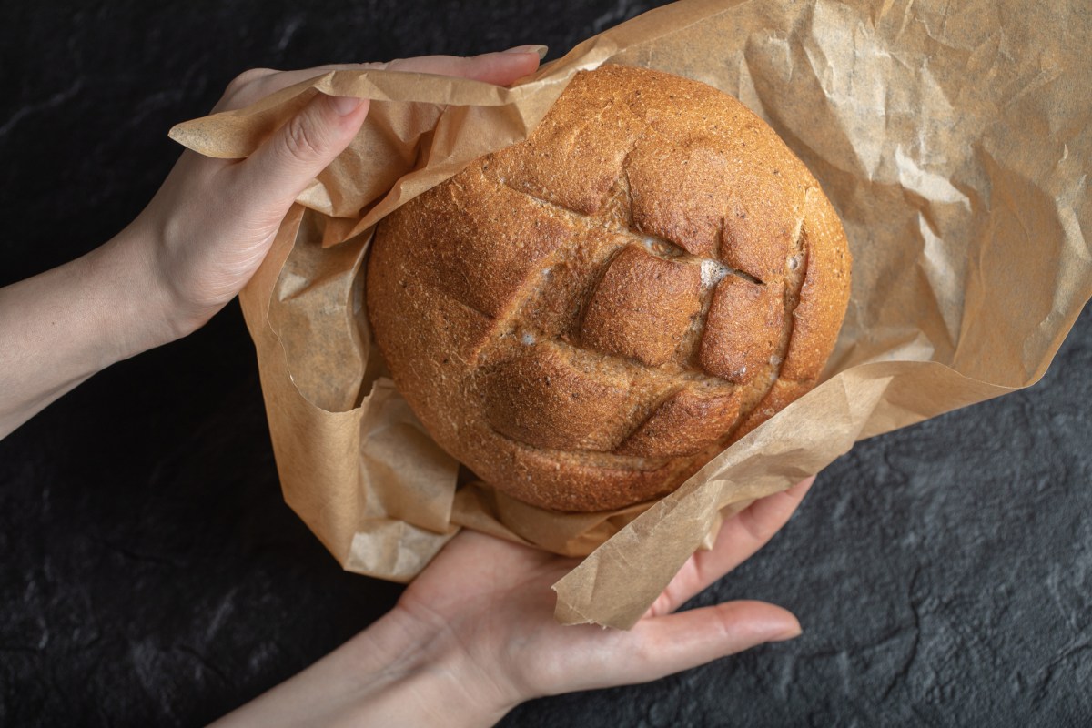 Brot Laib Hände