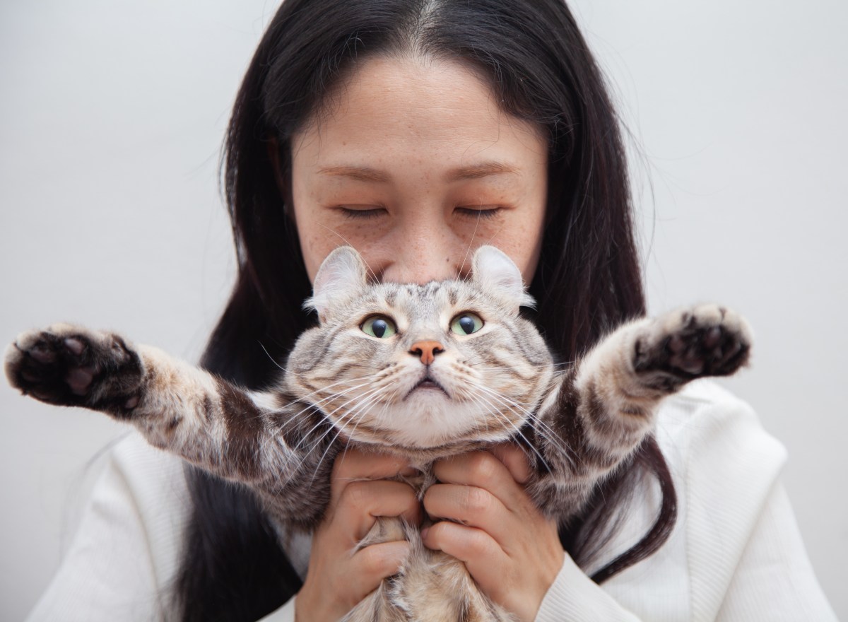 Frau hält Katze im Arm.