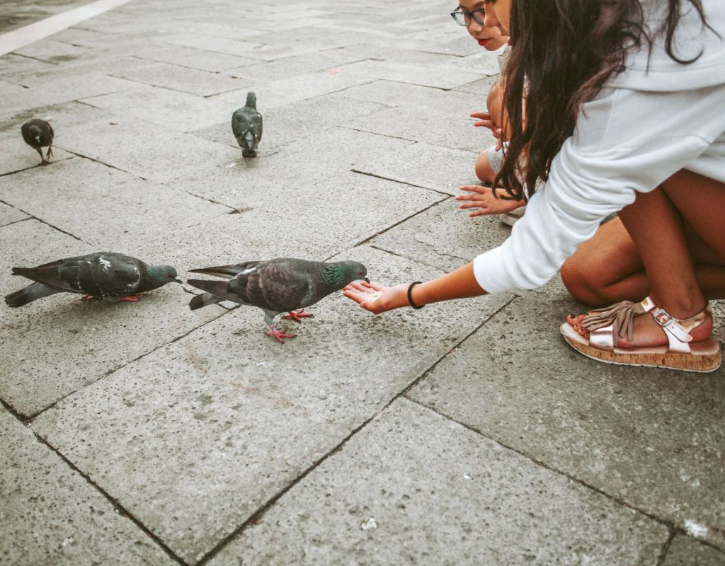 Urlaub Venedig Tauben Frau füttern