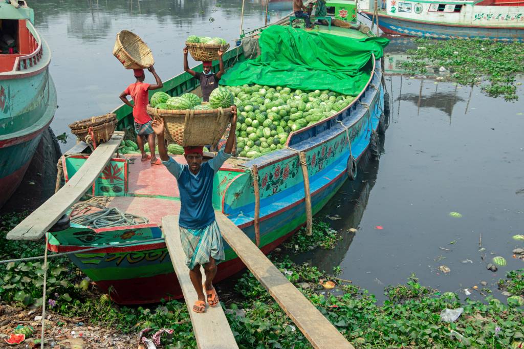 Wassermelone Transport