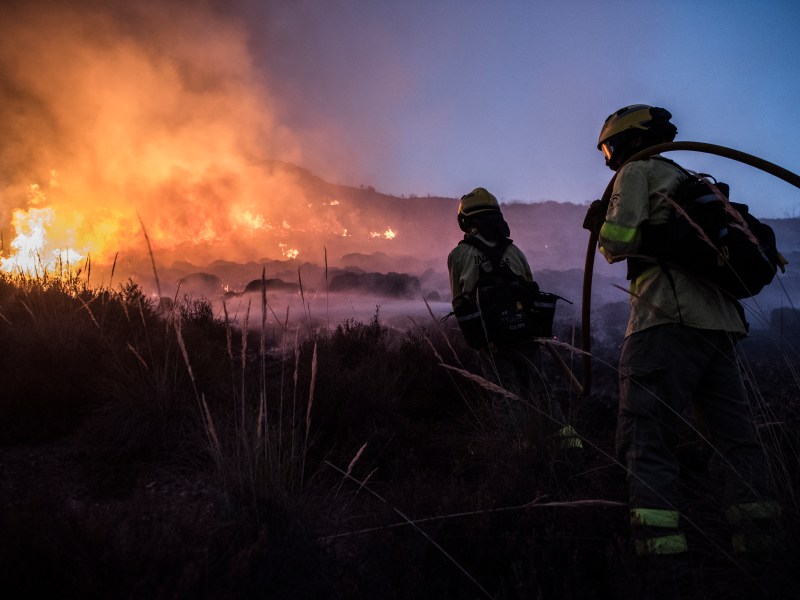 Hitzewelle Waldbrand