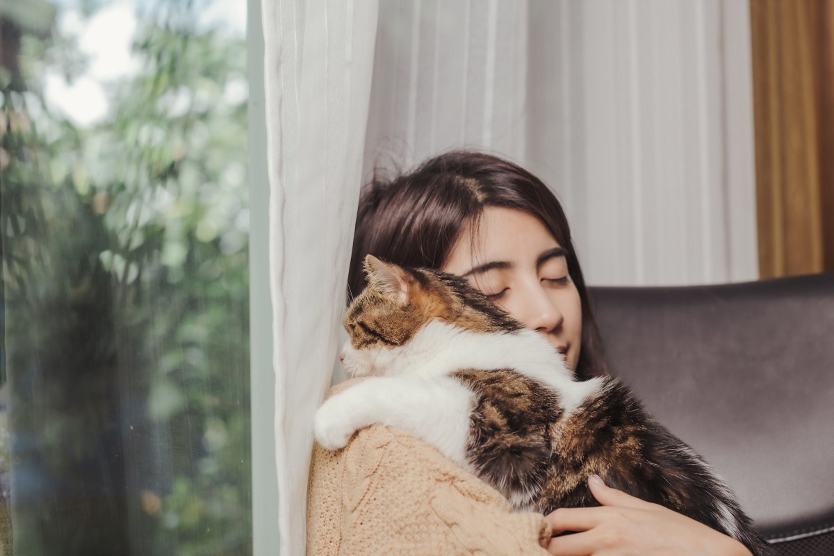 Frau hält bunte Katze im Arm.