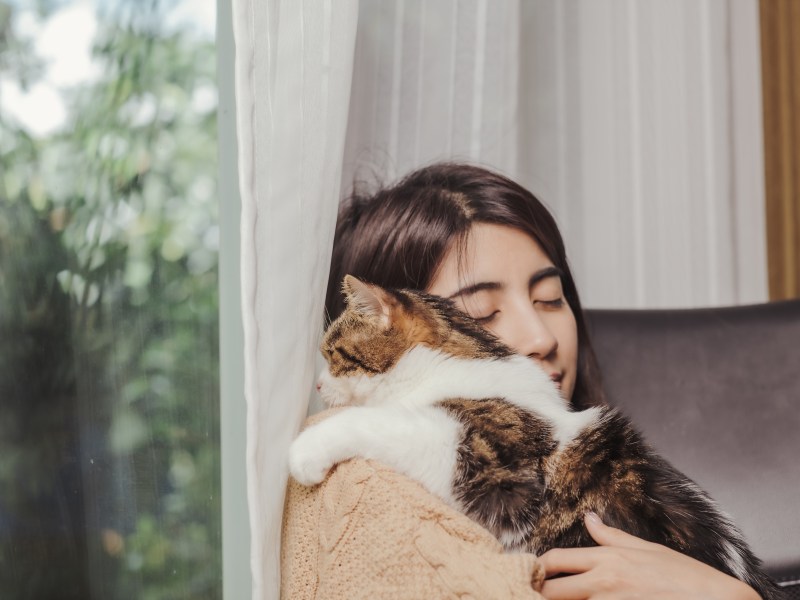 Frau hält bunte Katze im Arm.