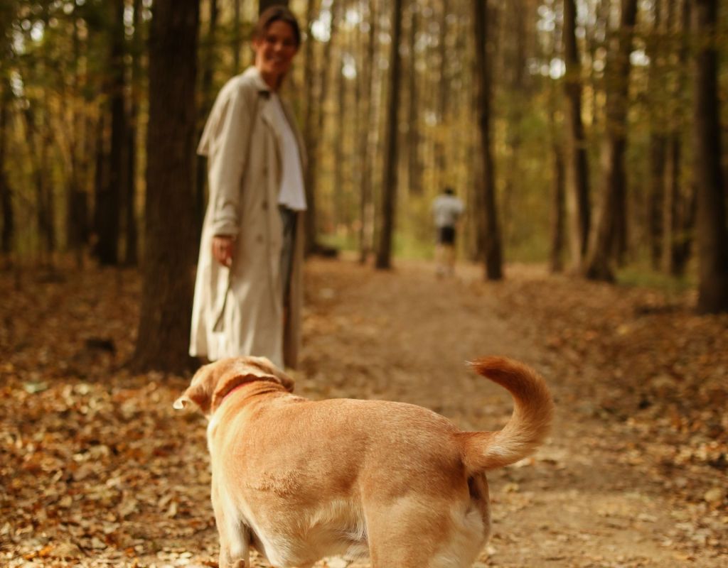 Frau beim Waldspaziergang mit Hund