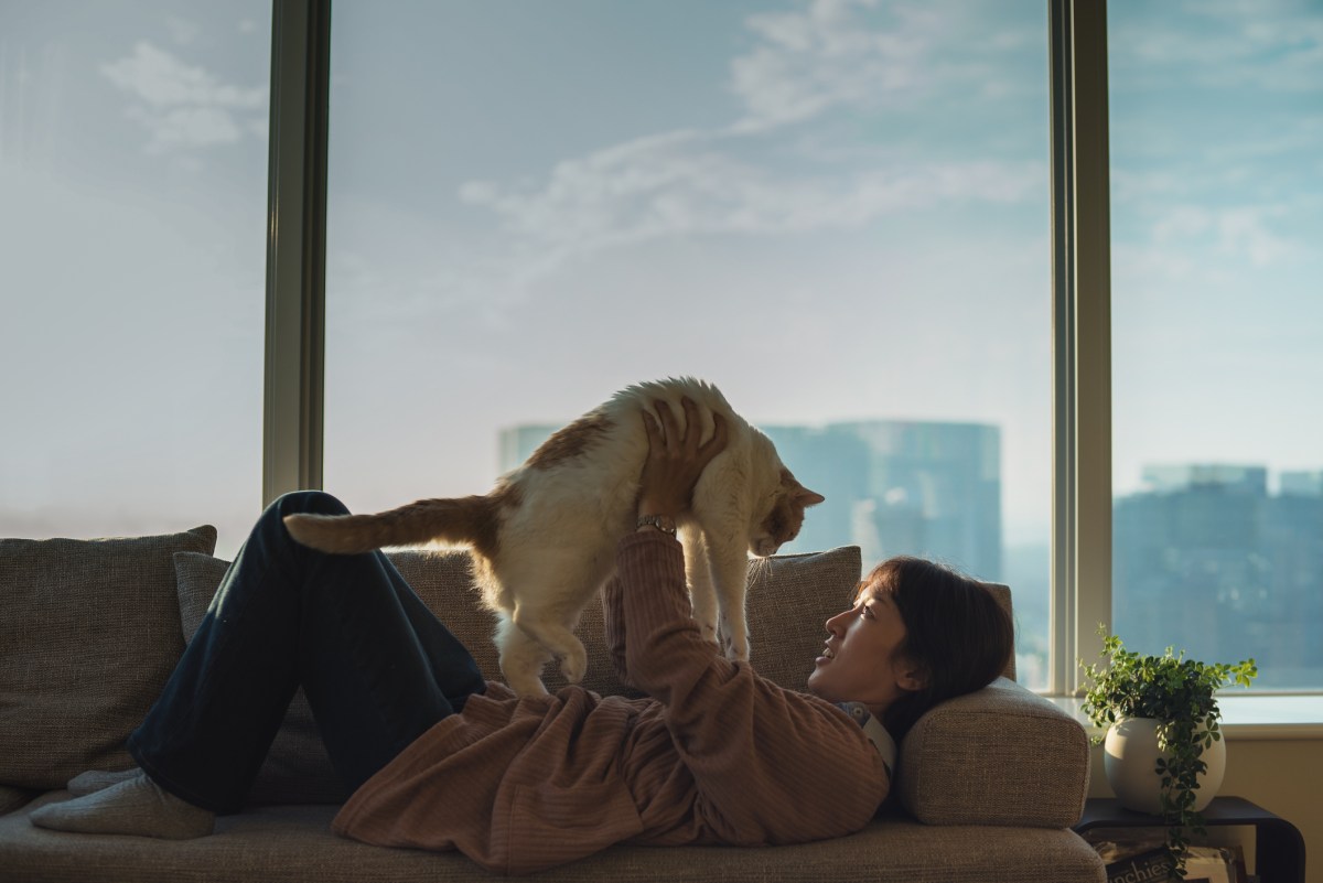 Frau liegt auf dem Sofa und hält Katze