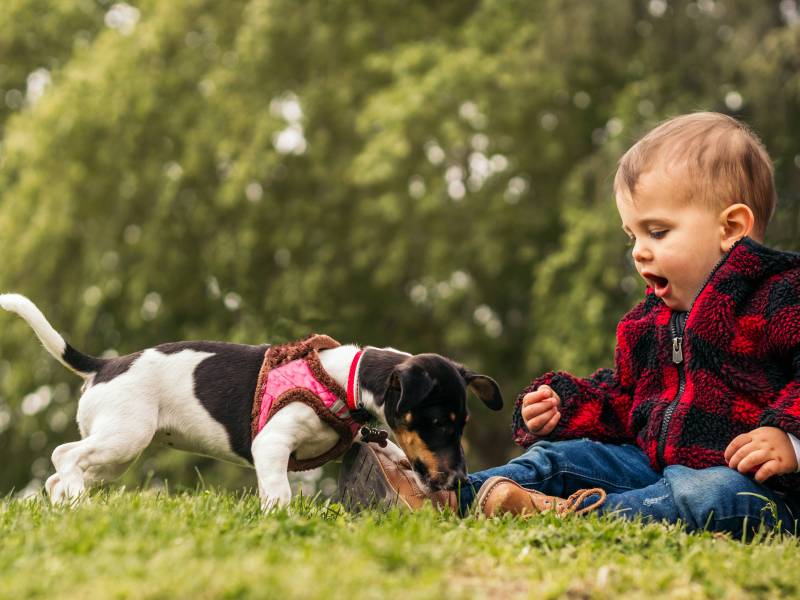 Baby mit Hund