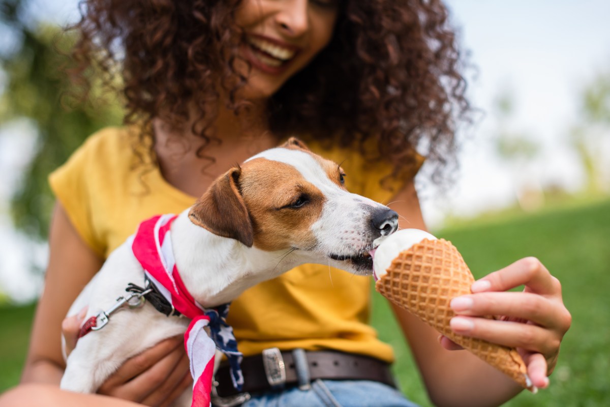 Frau hat Hund auf dem Arm, der ein Eis isst.