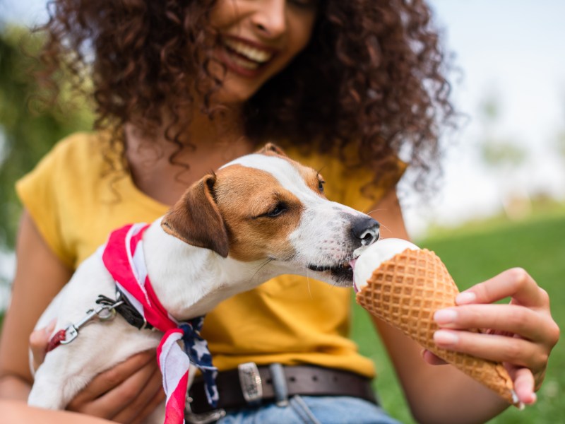 Frau hat Hund auf dem Arm, der ein Eis isst.