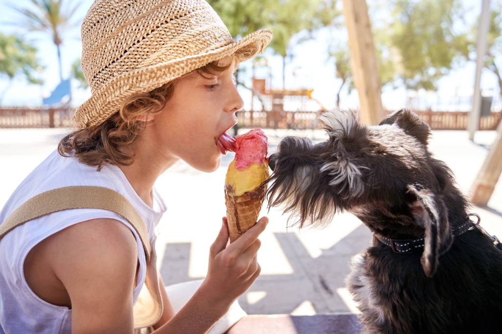 Hund leckt am Eis mit kleinem jungen