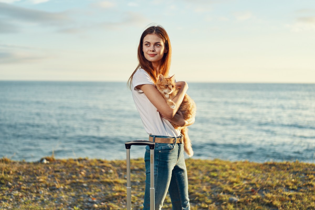 Urlaub mit Katze